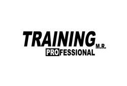 Logotipo de Training Deportes